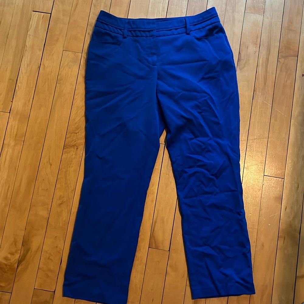 Blue Cropped Pants